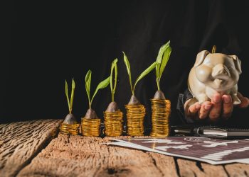 Stacks of gold coins with growing plants on top increase in height, symbolizing financial growth. A hand holds a piggy bank beside them, all set on a rustic wooden surface. | RealEstateMarket