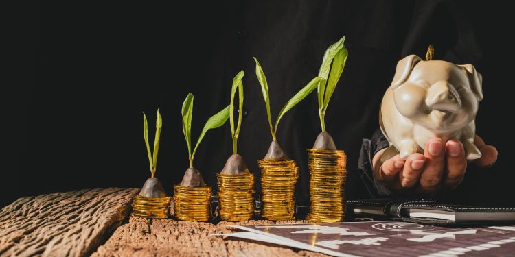 Stacks of gold coins with growing plants on top increase in height, symbolizing financial growth. A hand holds a piggy bank beside them, all set on a rustic wooden surface. | RealEstateMarket