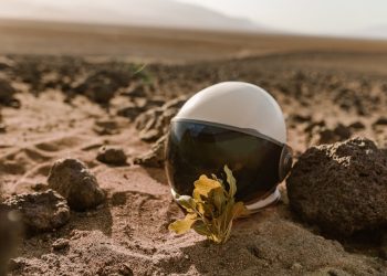 Featured image for: Beyond the Surface: A Guide to Thorough Physical Property Inspections