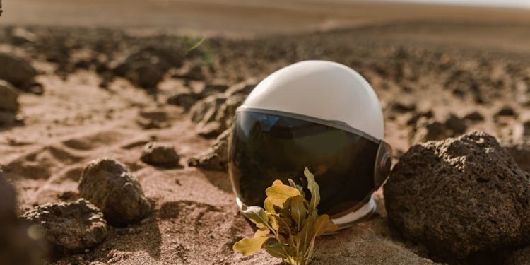 Featured image for: Beyond the Surface: A Guide to Thorough Physical Property Inspections